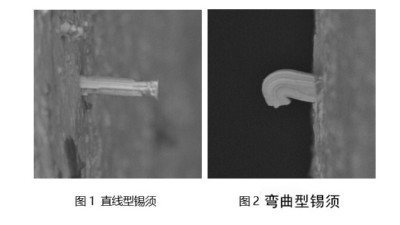 淺談一下焊錫膏焊接后出現(xiàn)錫須是什么原因？